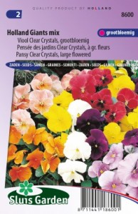 8600 sirotky Viola Clear Crystals